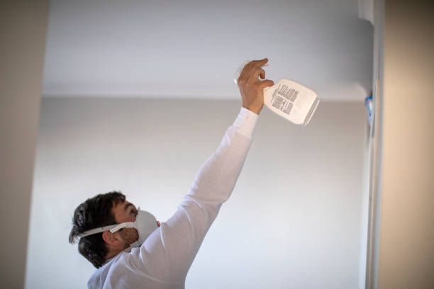 Best Professional Mold Removal  in Rayre, MO