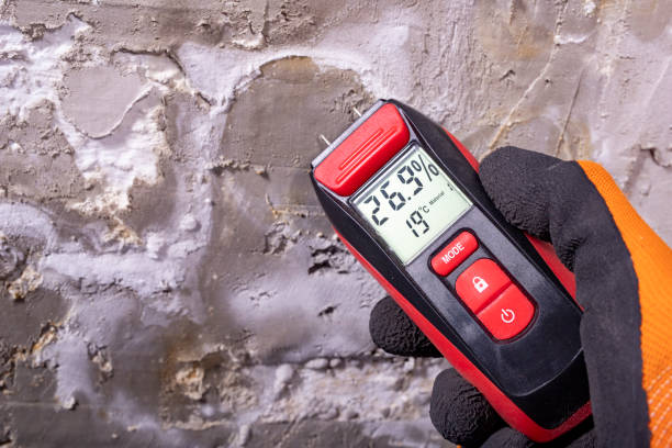 Mold Removal and Inspection in Raymore, MO