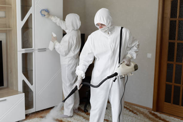 Best Residential Mold Removal  in Rayre, MO