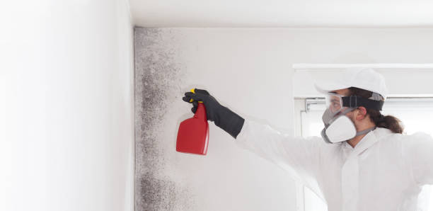 Best Crawl Space Mold Removal  in Rayre, MO
